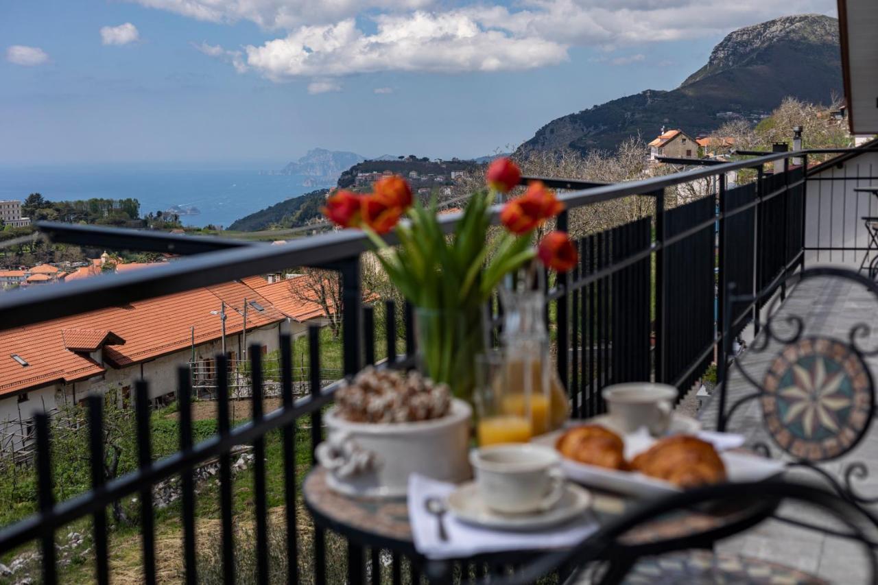Punta San Lazzaro Agroturismo